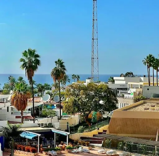 Sunny On The Paradise Coast. *